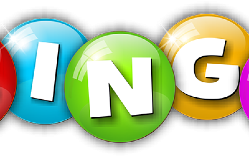 Bingo 16.5