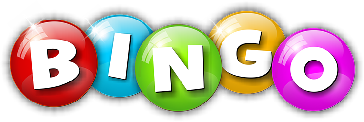 Bingo 16.5